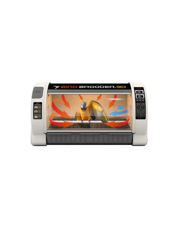Untitled-1 brooder