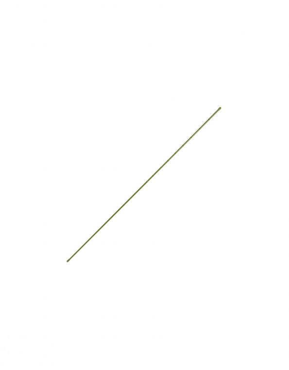 41qIQvpg8mL._AC_SL1000_