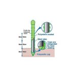 41qIQvpg8mL._AC_SL1000_