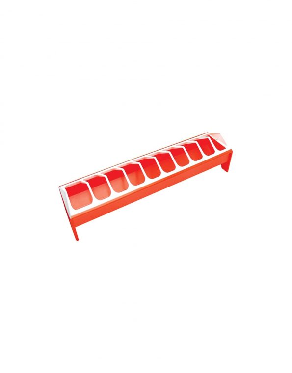 51lfUCEuP+L._AC_SL1000_