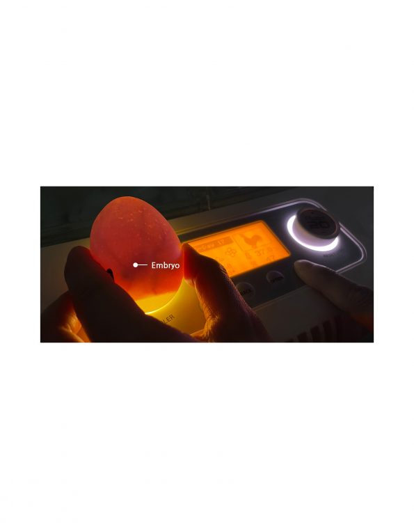 89b6d02e735e068216cf779cf2f1c682_1614836767_6711