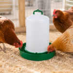 06-lifestyle-chicken-coop