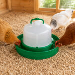 06-lifestyle-chicken-coop