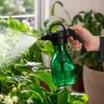06-lifestyle-plant-care