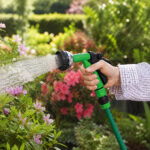06_lifestyle_garden