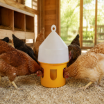 07-lifestyle-hen-coop