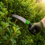 07-lifestyle-shrub-pruning