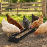 07-lifestyle-smallholding
