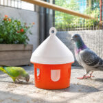 07_lifestyle_aviary