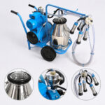 03_Component_Details