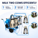 05_Dual_Milking_Process