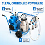 05_Milking_Process