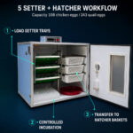 05_Setter_Hatcher_Workflow