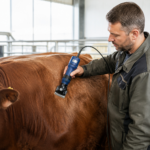 06_Lifestyle_Cattle.webp