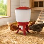 06_Lifestyle_Chicken_Coop