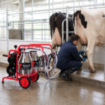 06_Lifestyle_Dual_Milking