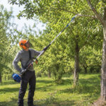 06_Lifestyle_Orchard_Pruning