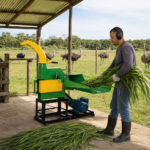 07_Lifestyle_Ostrich_Farm