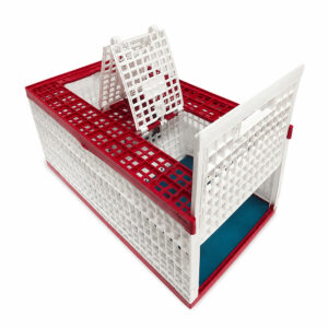 Giordano_Bird_Cage_01_Main