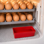 06-lifestyle-inside-incubator
