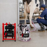 06-lifestyle-cow-milking