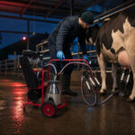 07-lifestyle-neon-dairy