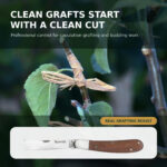 06-real-grafting-result