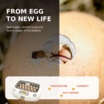 07-real-hatching-moment