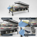 03_Dates_Fruits_Sorting_Machine_Detail_Views