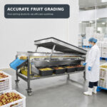 07_Dates_Fruits_Sorting_Machine_Fruit_Use