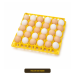 02_RIVER_30_Egg_Tray_Loaded
