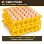 03_RIVER_30_Egg_Tray_Stackable