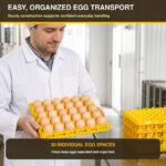 06_RIVER_30_Egg_Tray_Transport