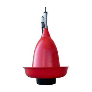 01_RIVER_Big_Bell_Drinker_Main