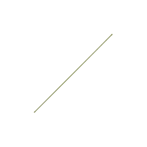 41qIQvpg8mL._AC_SL1000_
