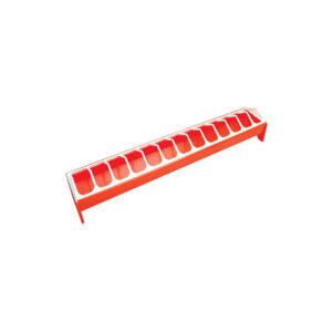 519GAOXnOqL._AC_SL1000_