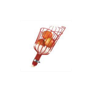 61RCtx32WxL._AC_SL1000_