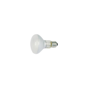 mushroom-head-lamp