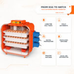 05-kerbl-novital-162-incubatio