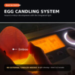 06-Rcom-50DO-PRO-Built-In-Egg-Candler