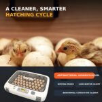 08-Rcom-50DO-PRO-Real-Hatchlings