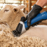 07-xpert-close-shearing-application-1000x1000