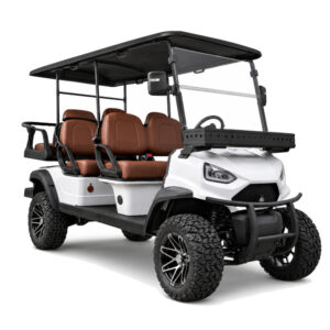 01-golf-cart-4plus2-main-1000x1000