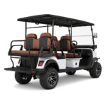 03-golf-cart-4plus2-rear-view-1000x1000
